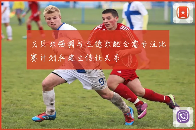 戈贝尔强调与兰德尔配合需专注比赛计划和建立信任关系