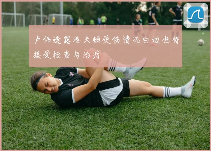 卢伟透露洛夫顿受伤情况白边也将接受检查与治疗