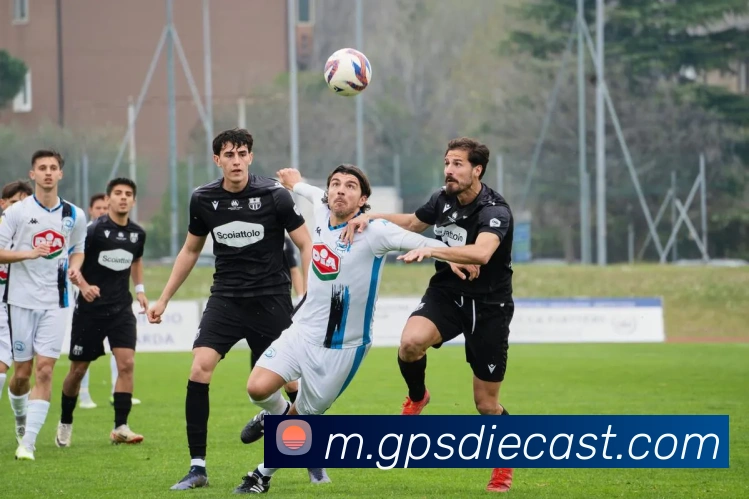 体育数据展示